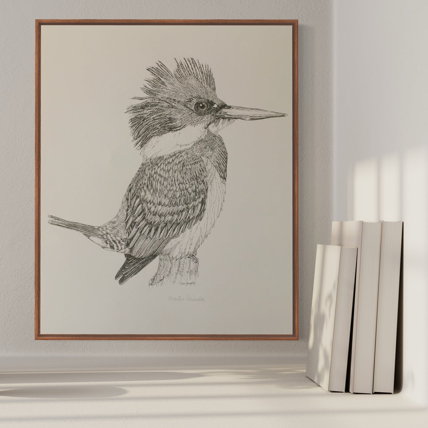 Ilustración ave nativa Martín Pescador