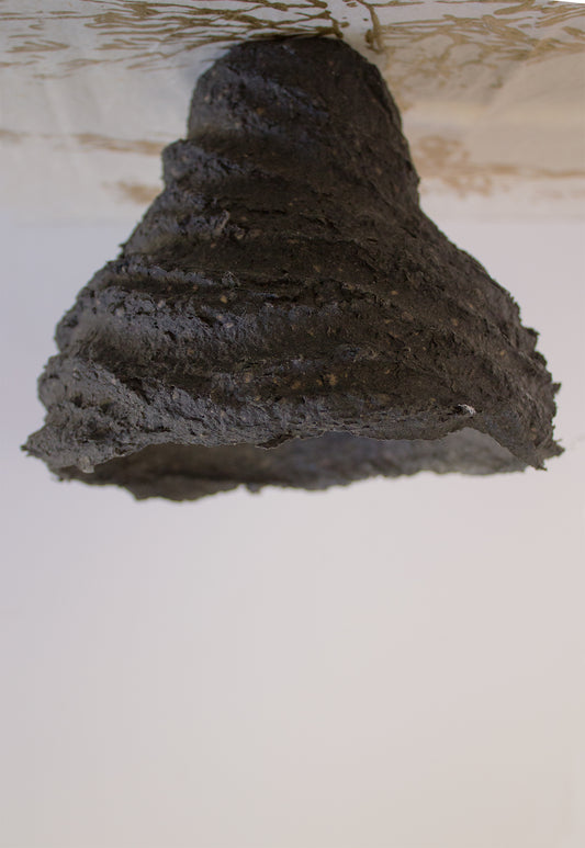 Lámpara Magma - Lava Negra