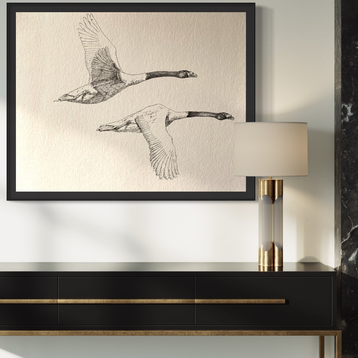 Ilustración "Cisne Cuello Negro"