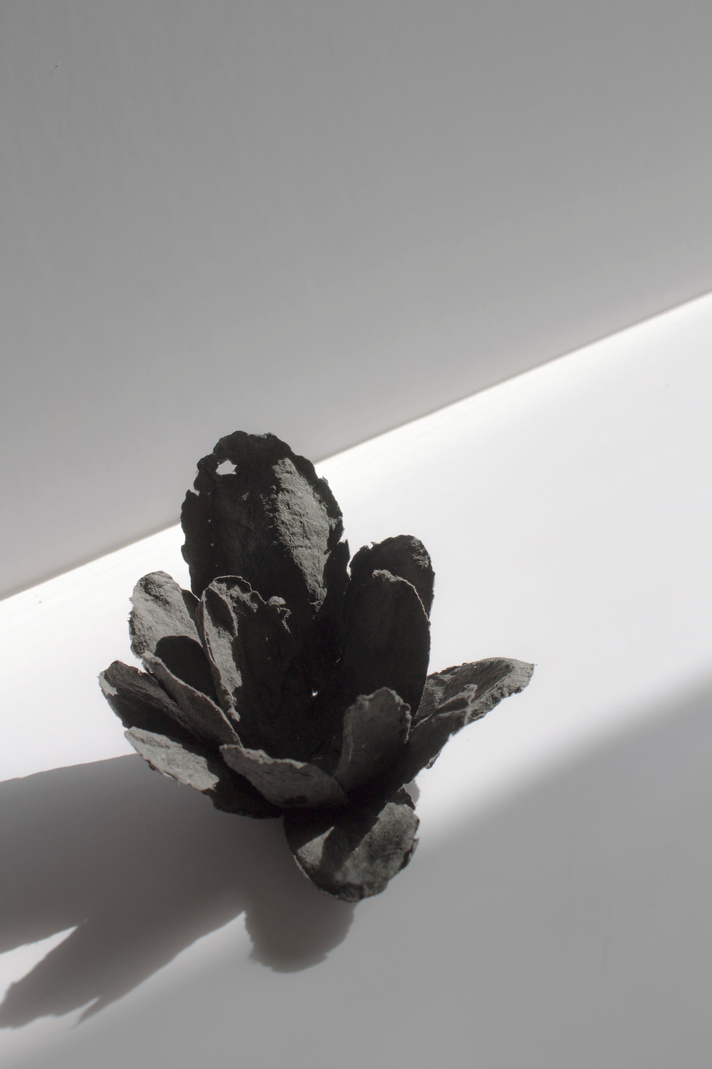 Flor negra decorativa