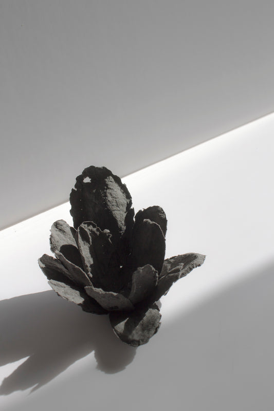 Flor negra decorativa