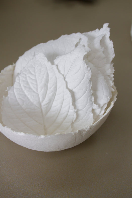 Cuenco aromático con finas hojas de papel