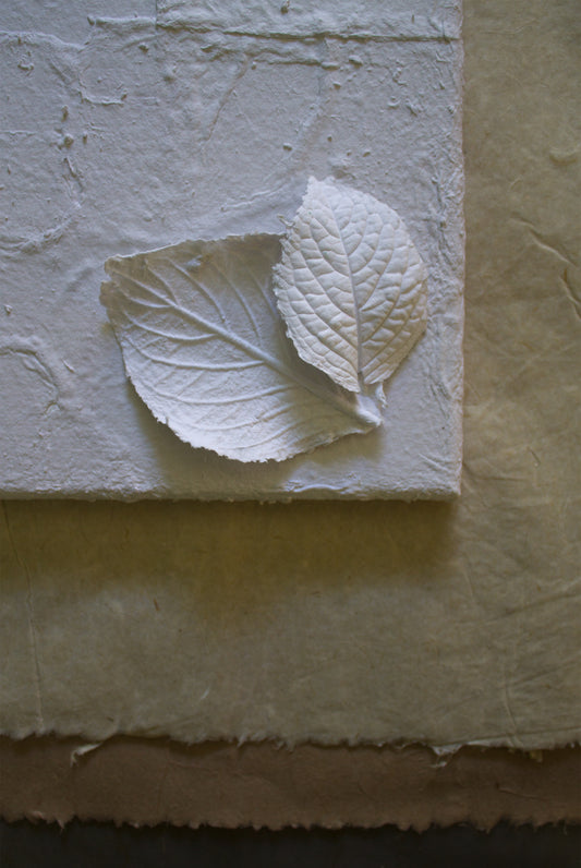 Cuadros textura de Papel