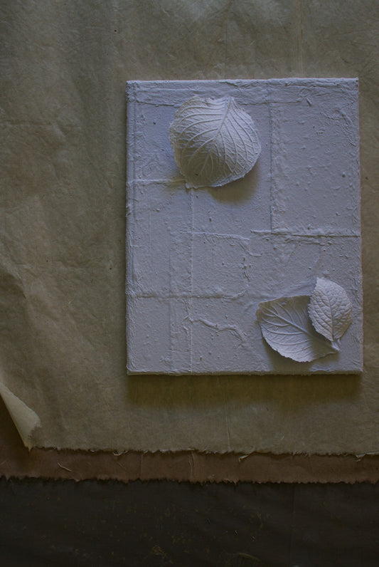 Cuadros textura de Papel